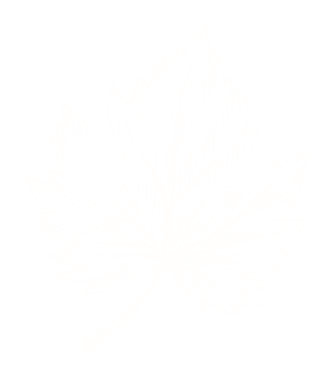 Feuille d'automne